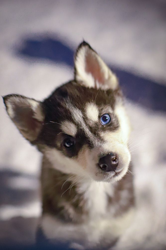 Photograph by Дарья Попова