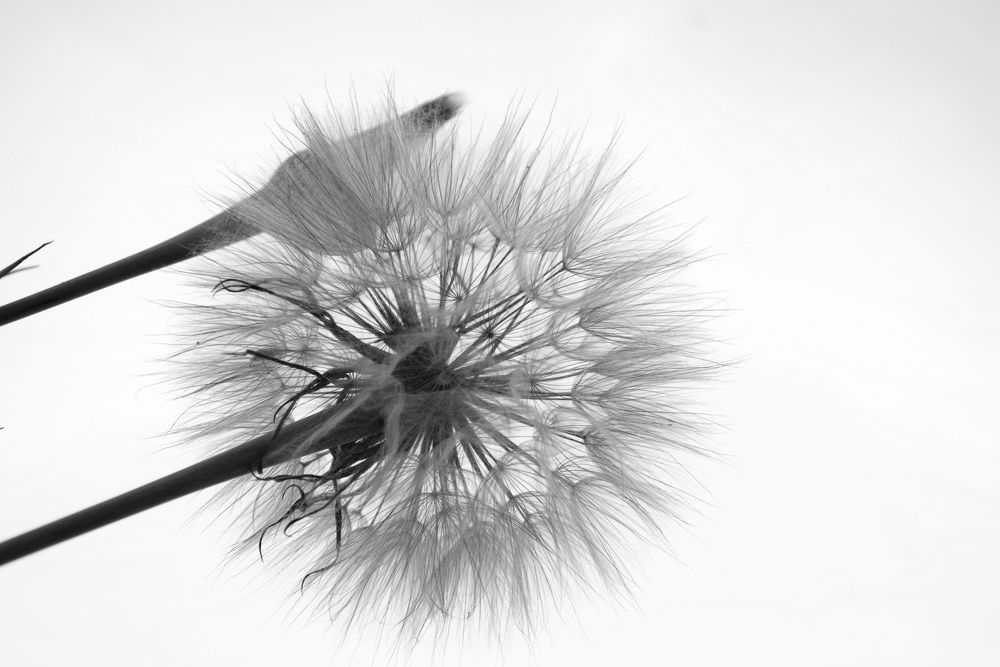 Photograph by  Татьяна Дорожко