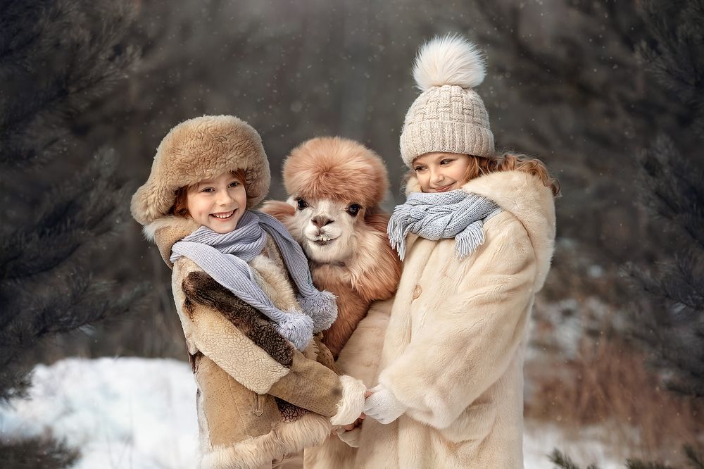 Весёлые ребята