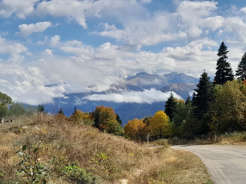 Photograph by Юлия Баринова