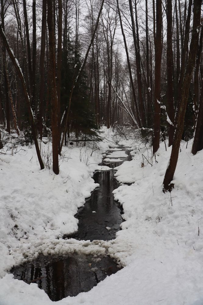 Photograph by Лолита Богачева