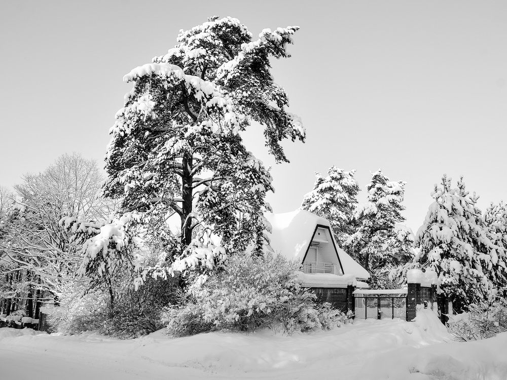 Photograph by Валерий Верещако