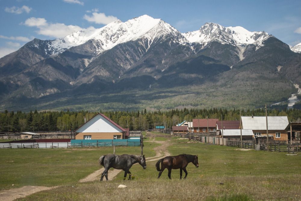 Фотография автора Алексей Самойлов