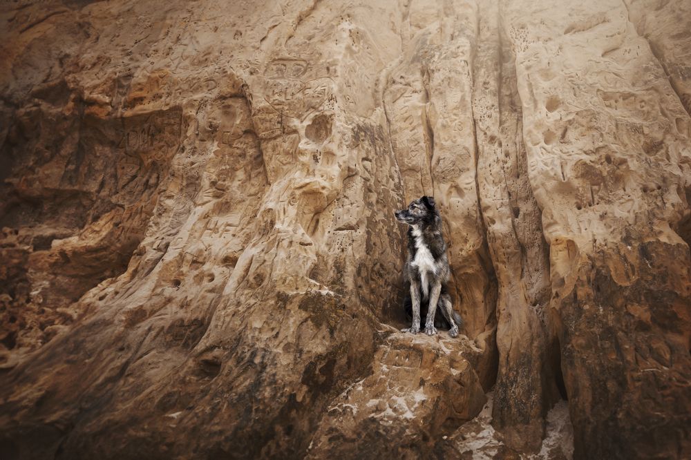 Photograph by Johanna Mehrke