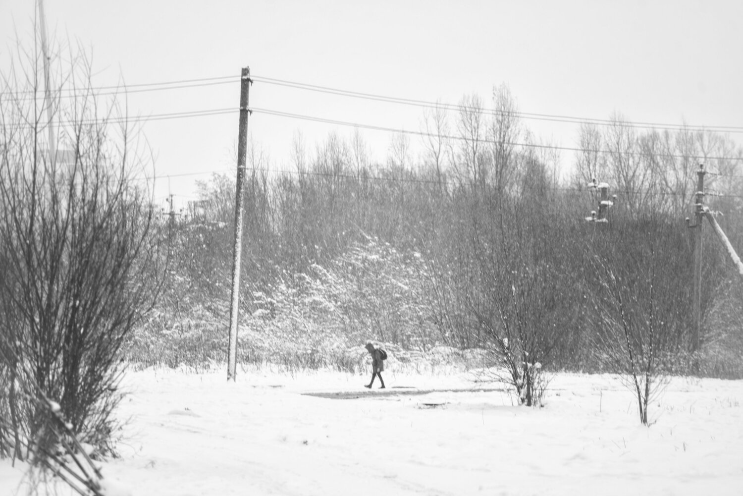 Photo #10244577