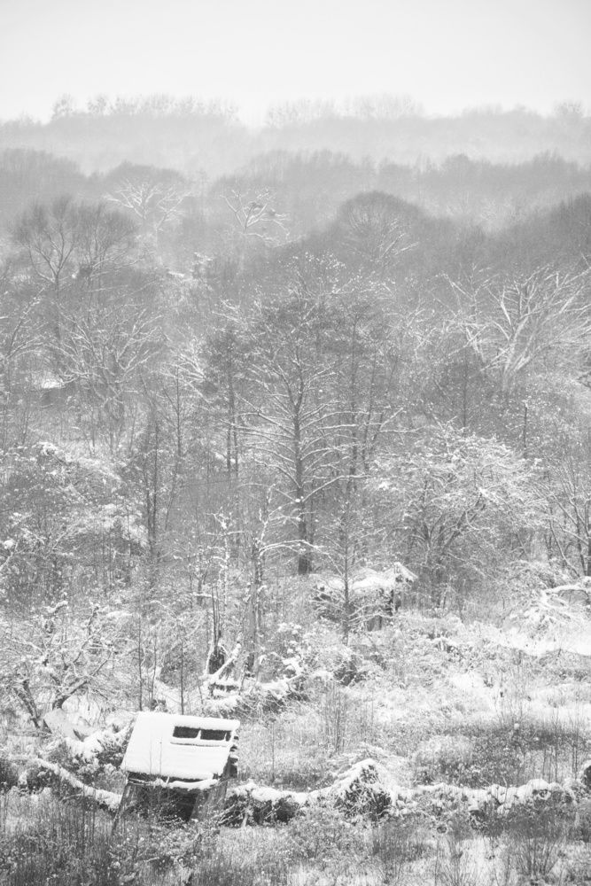 Photograph by Владимир Леликов-Кузьменко