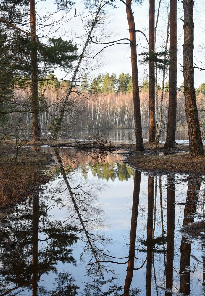 Photograph by Татьяна Осипова