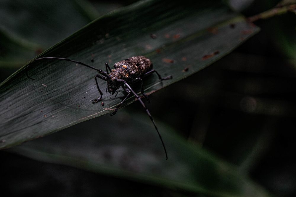 Photograph by Нурида Сорокоумова