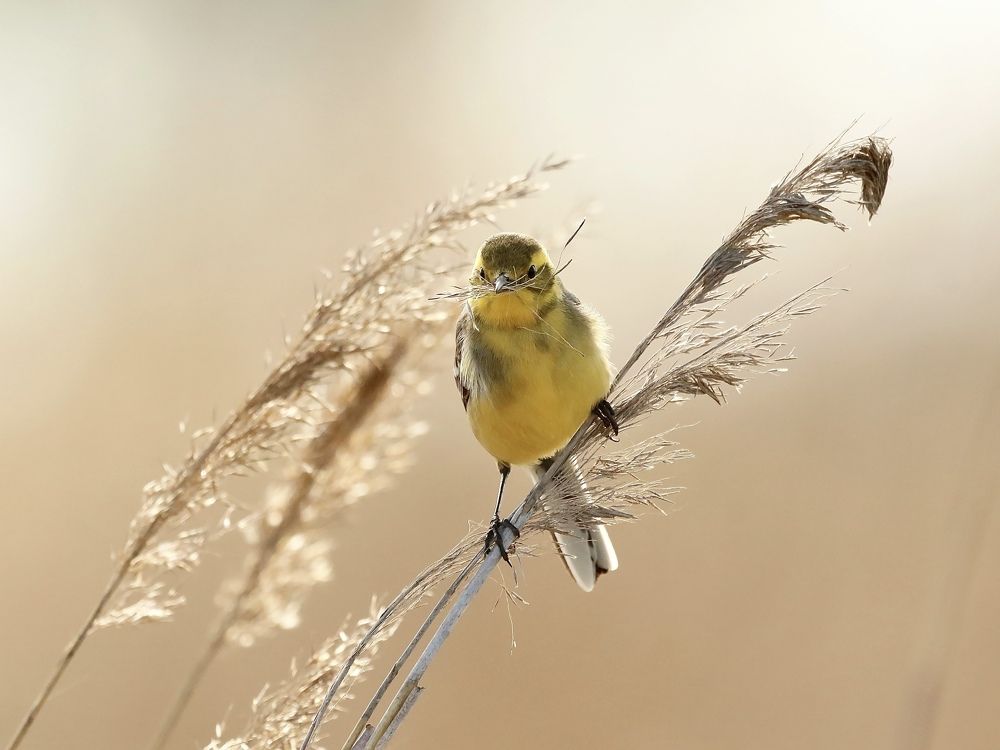 Photograph by Evgeny Nasyrov