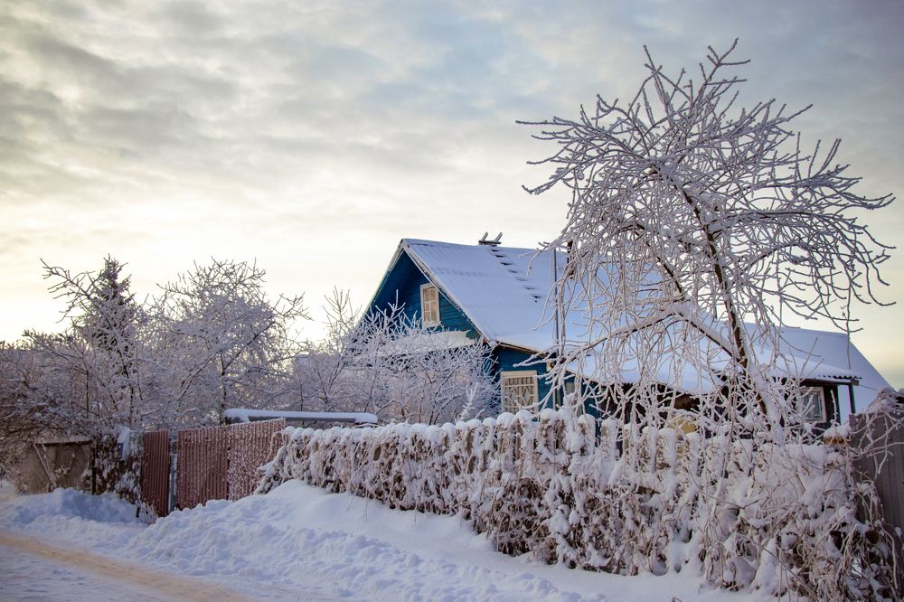 Фотография автора Светлана Разумовская