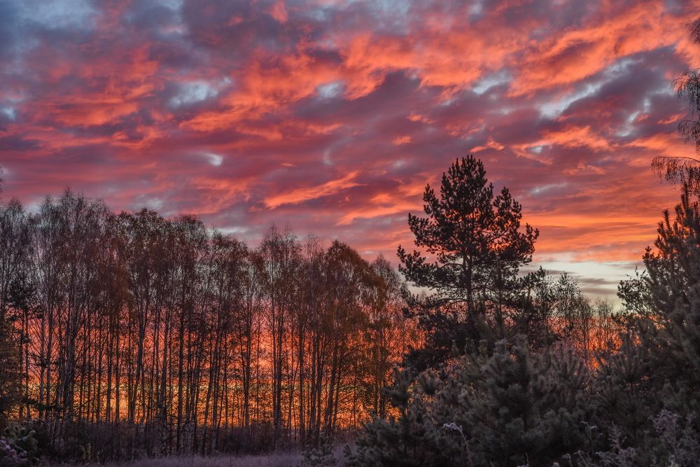 Photograph by Татьяна Осипова