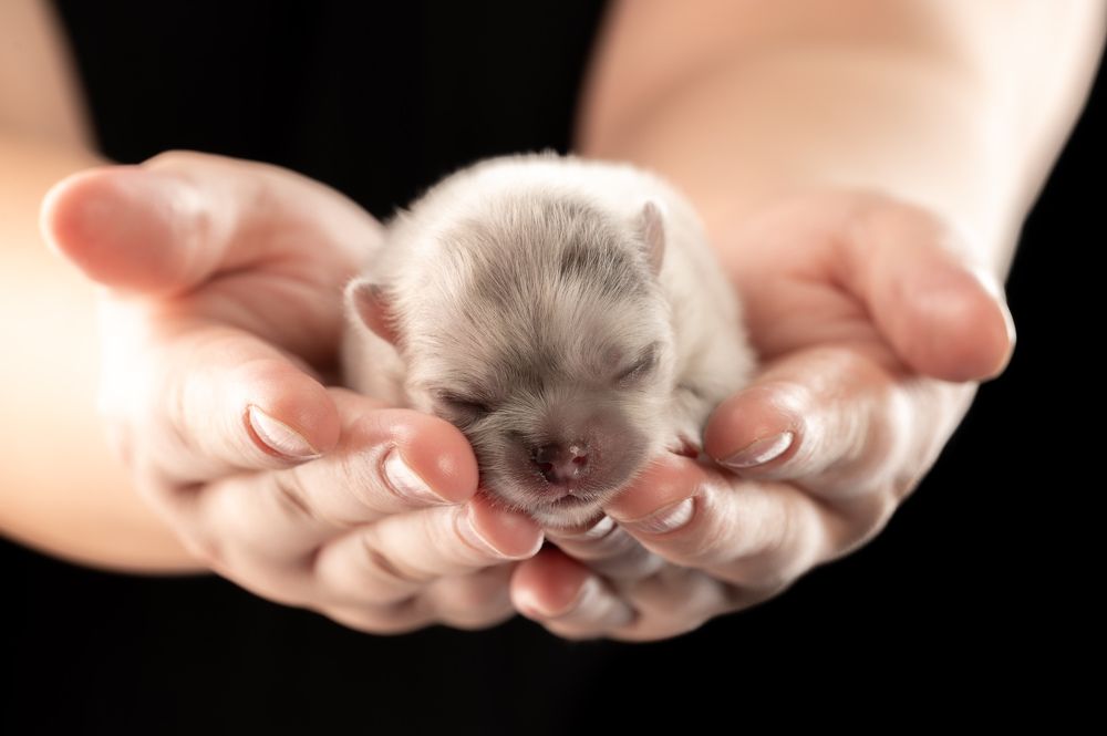 Photograph by Иван Грачев