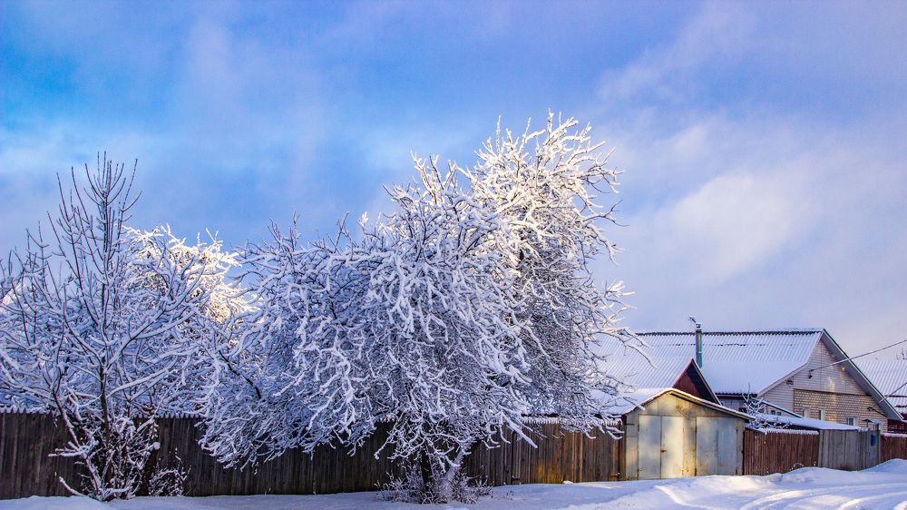 Photograph by Алексей Борисов