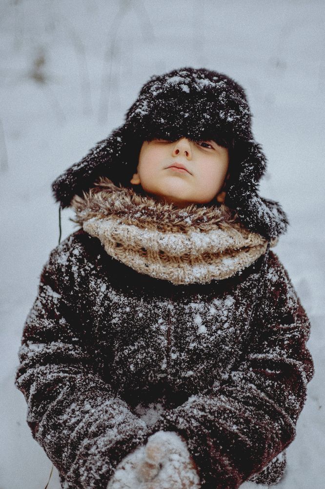 В зимнем лесу