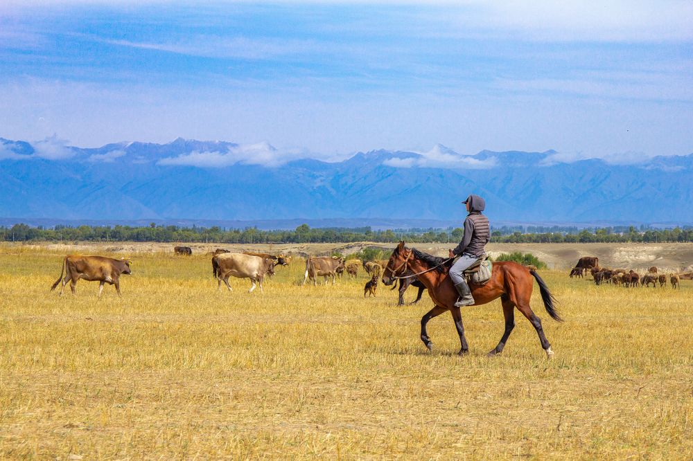 Photograph by Алексей Ширманов