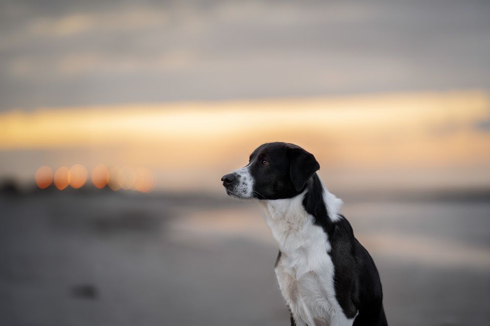 Photograph by Sophie