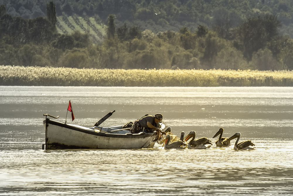 Photograph by Fargana Gasimli