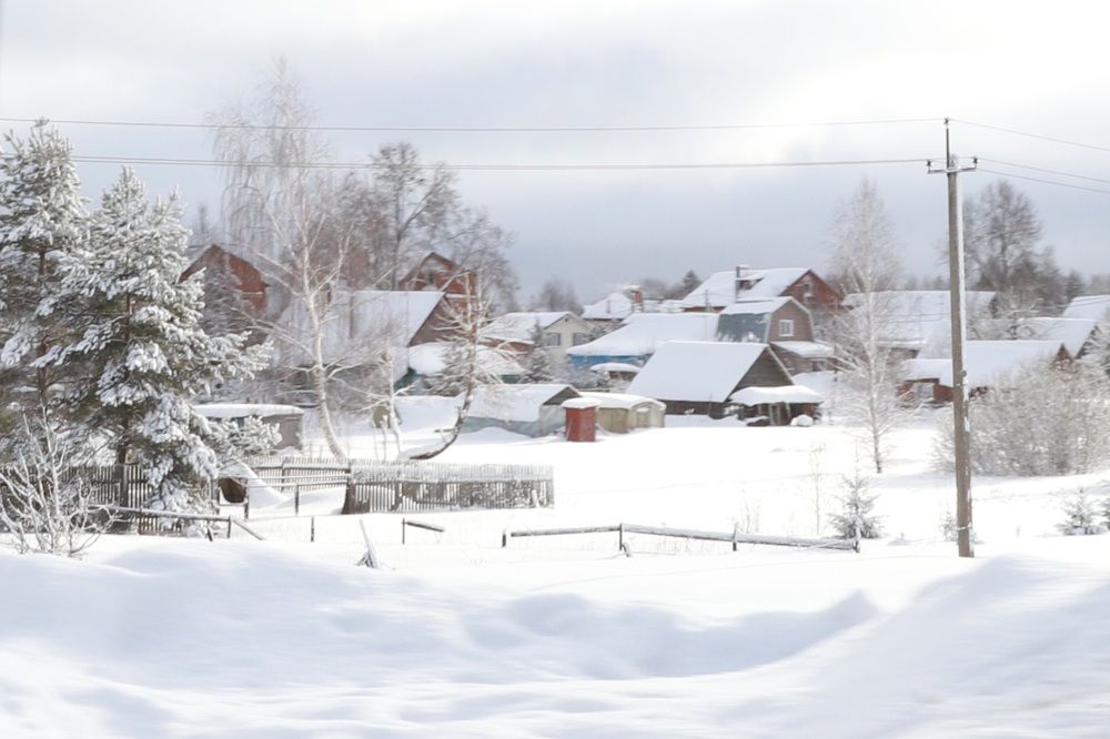 Photograph by Елена Тимченко