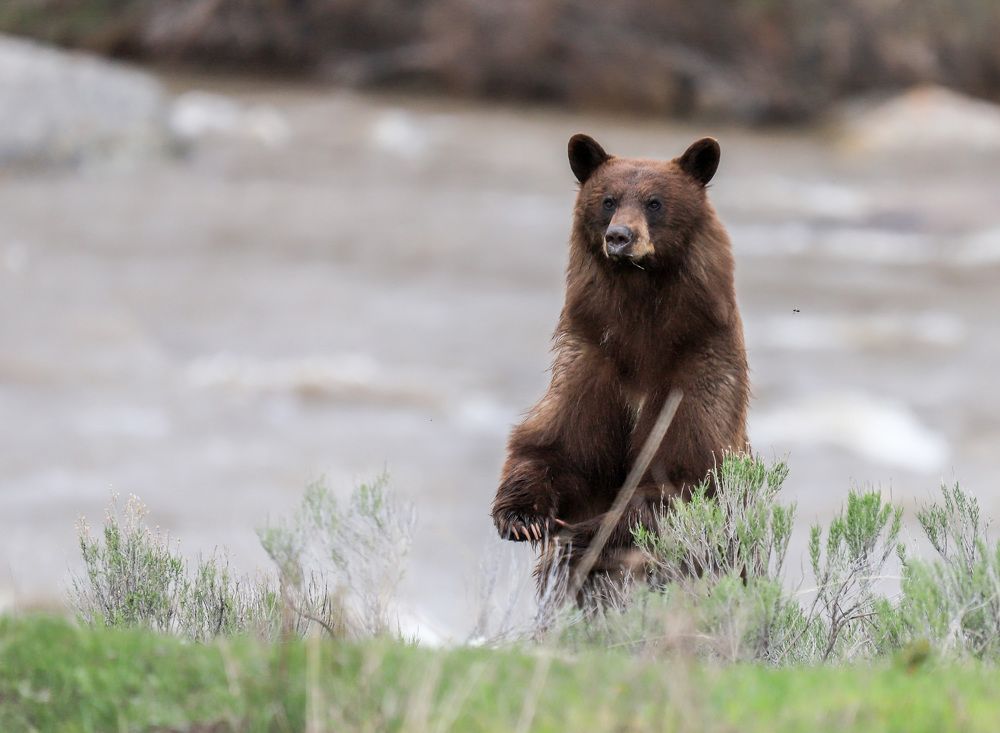 Photograph by Adeliene Lohman