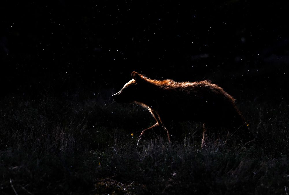 Photograph by Adeliene Lohman