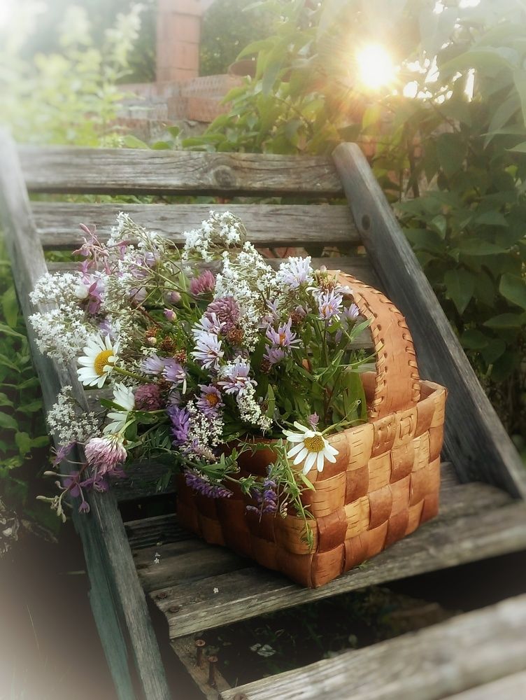 Фотография автора Тамара Караваева