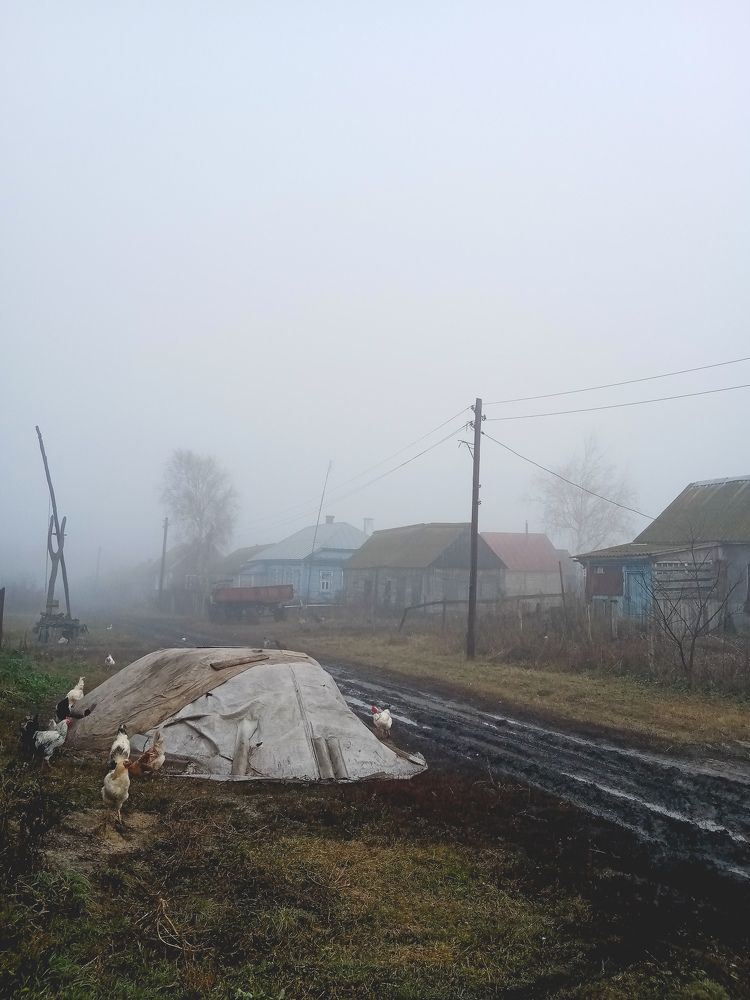 Photo #10245264
