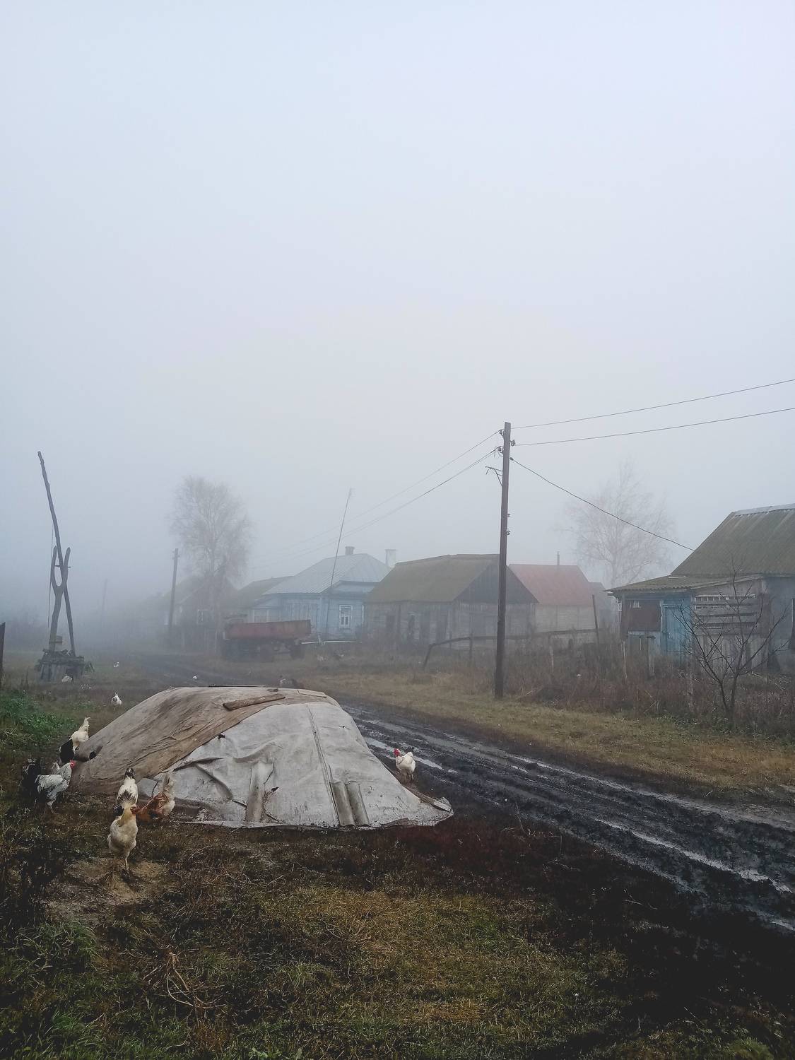 Photo #10245264