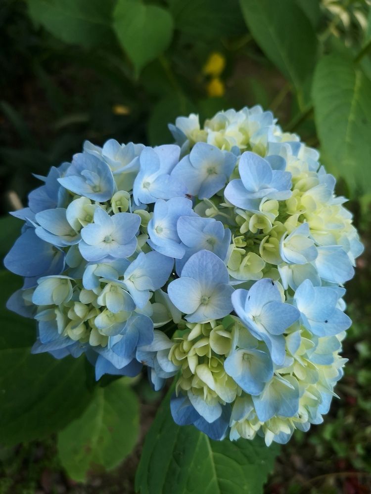 Photograph by Екатерина Борисовна Кузьмина