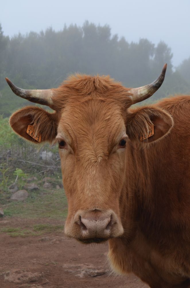 Photograph by Diana Kozlova