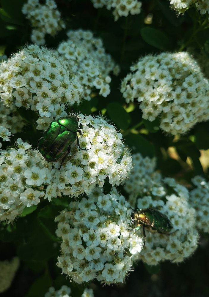 Photograph by Екатерина Борисовна Кузьмина