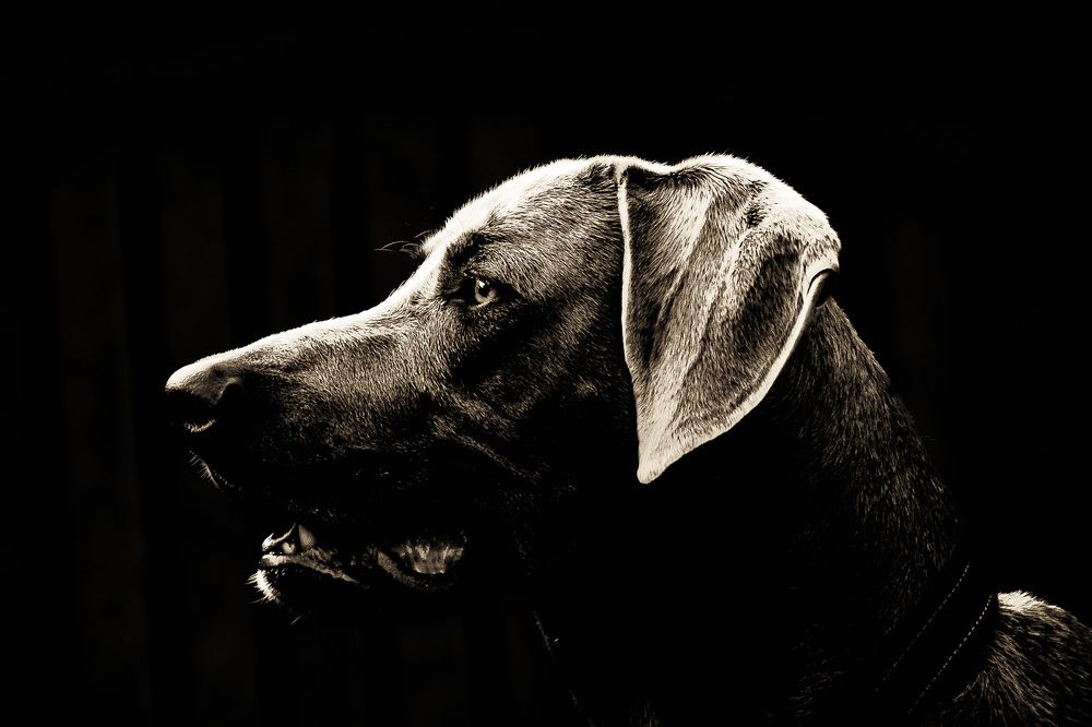 Photograph by Estuardo Estrada Alday