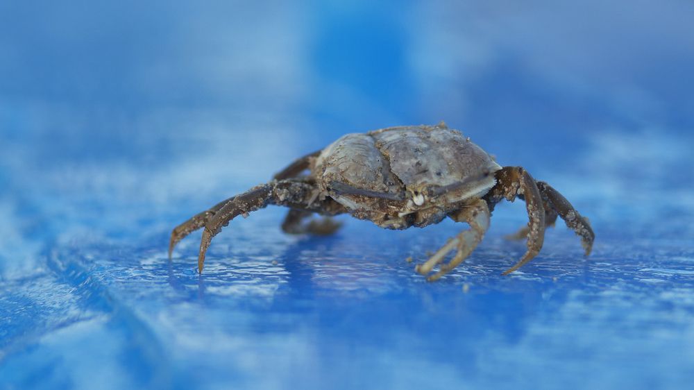 Photograph by Andrey