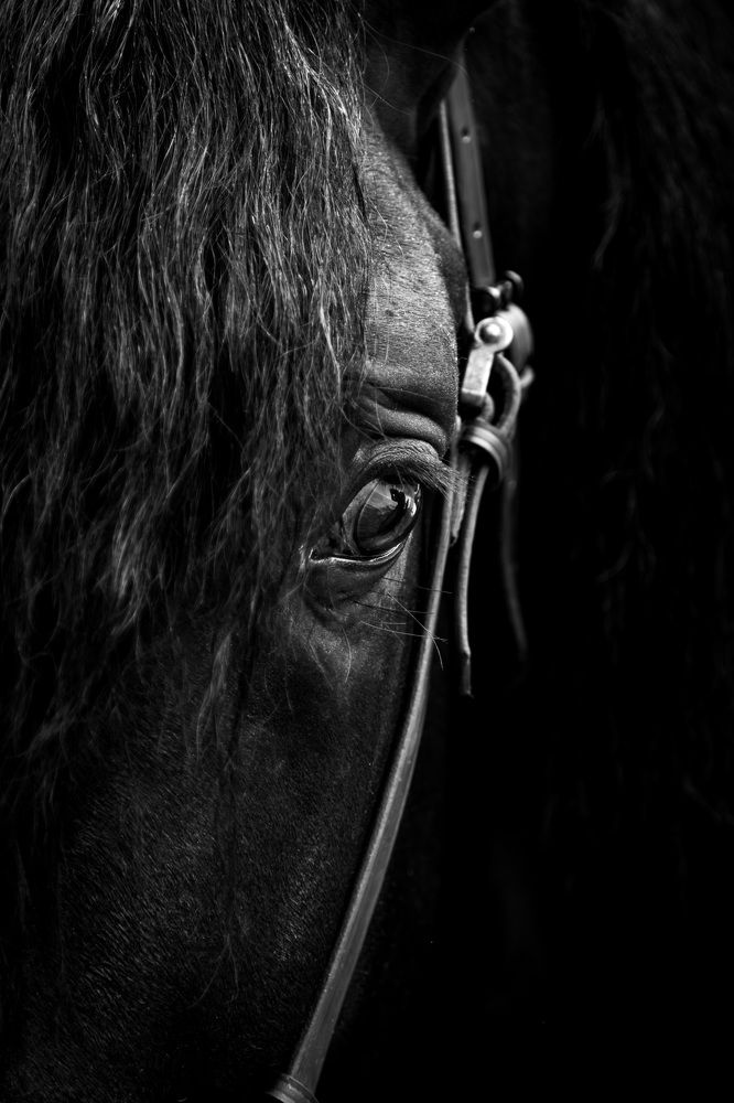 Photograph by Estuardo Estrada Alday