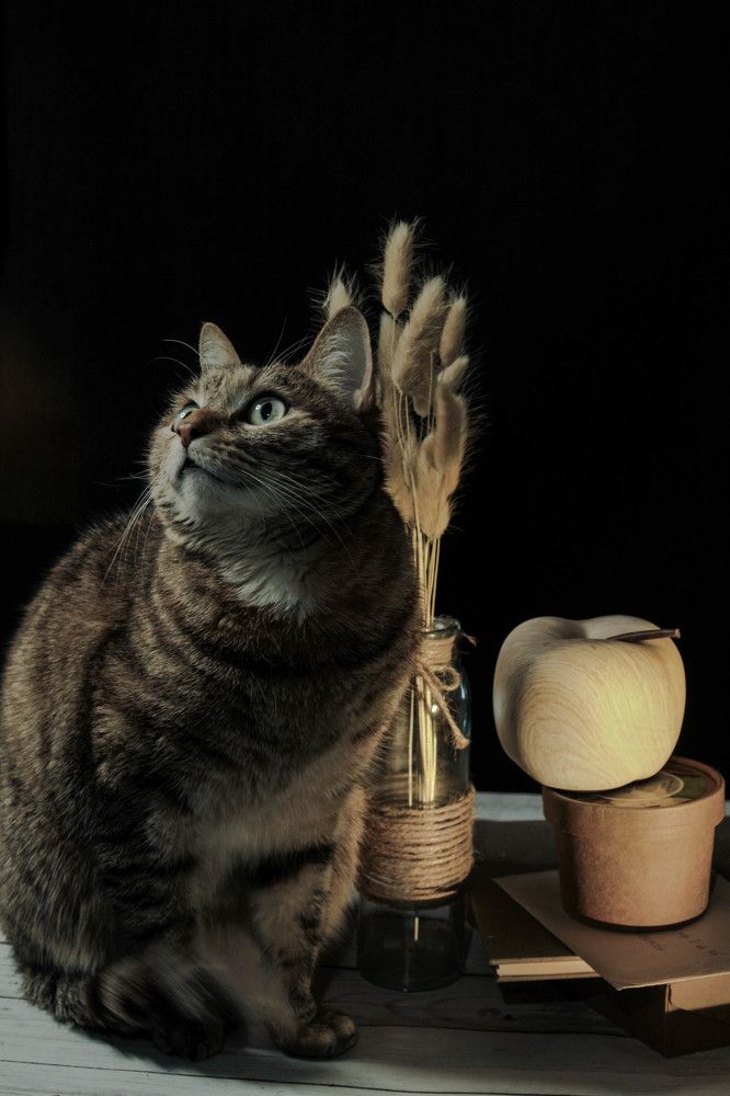 Photograph by Кира Иванова