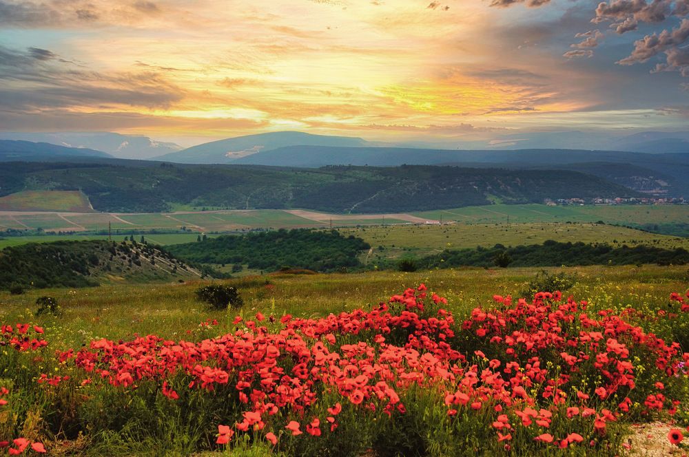 Photograph by  AlexSa