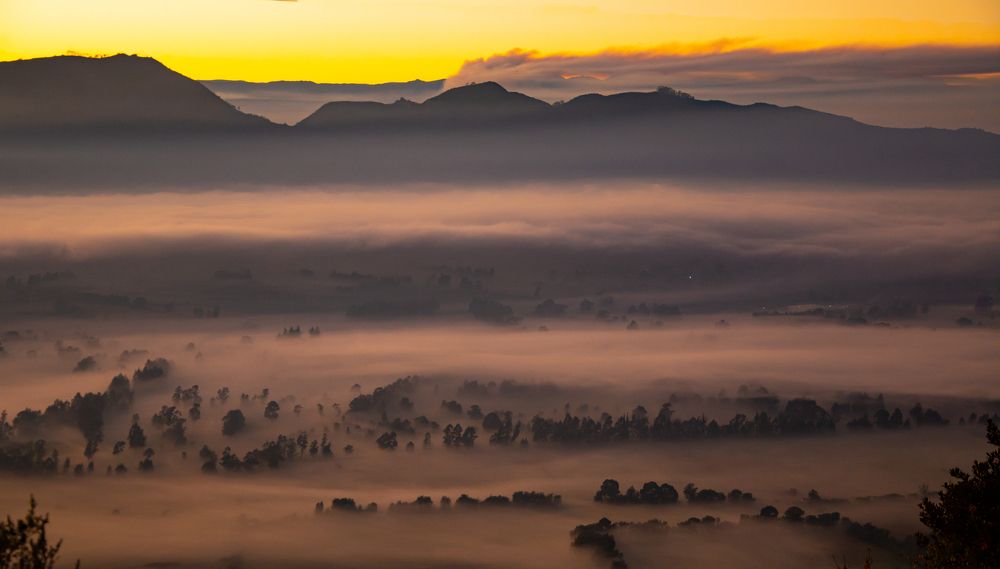 Photograph by Mario Pedraza