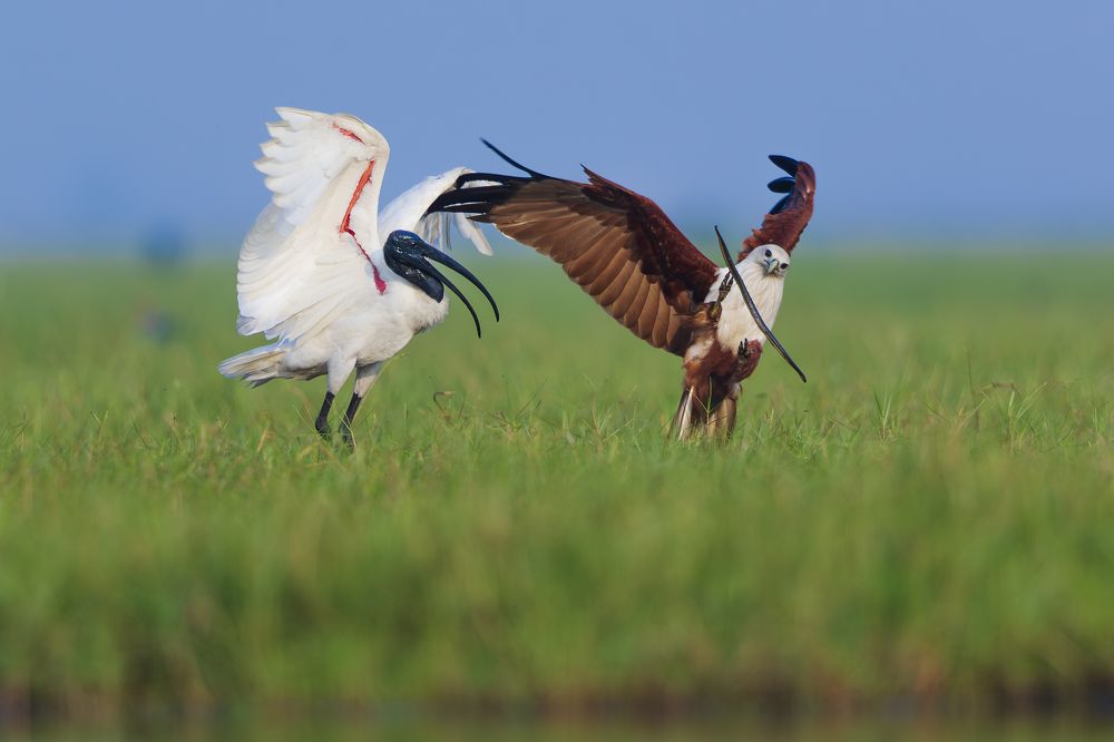 Photograph by Abhisek Acharya