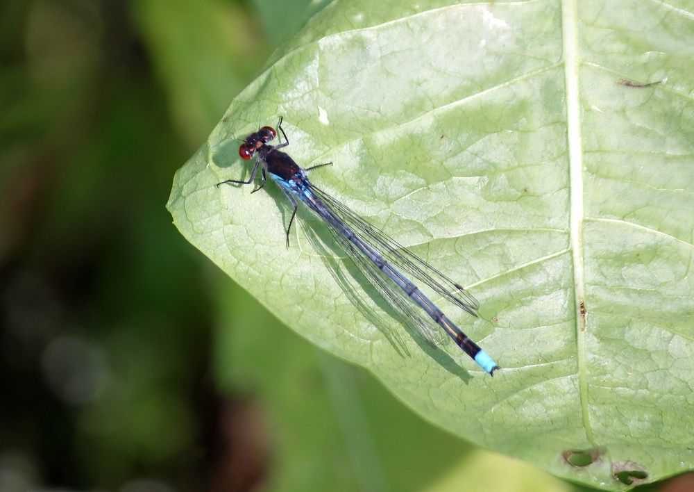 Photograph by Глеб Кузьминых