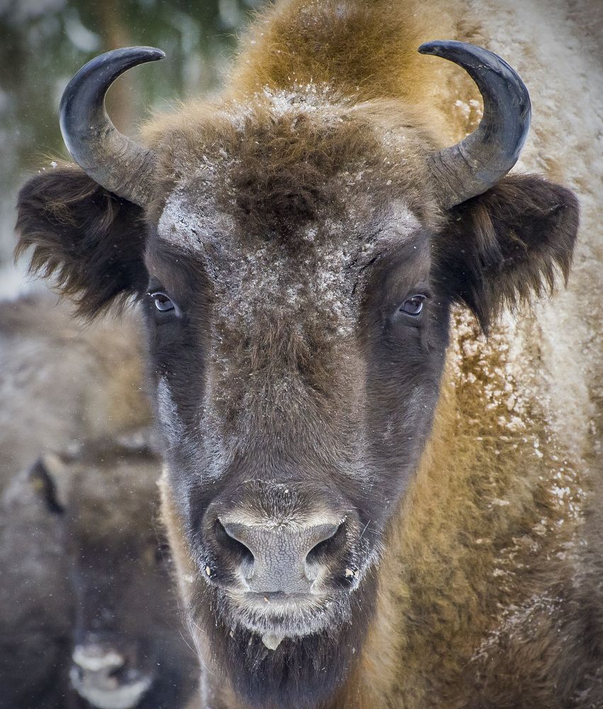 Photograph by Роман Кудрявцев