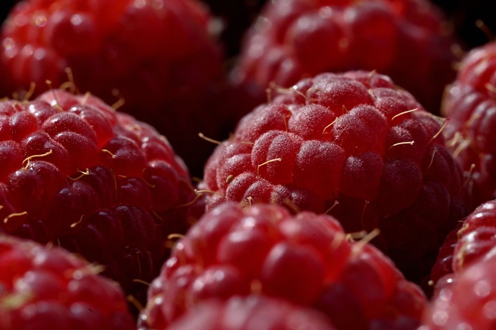 Фотография автора Дмитрий Referee