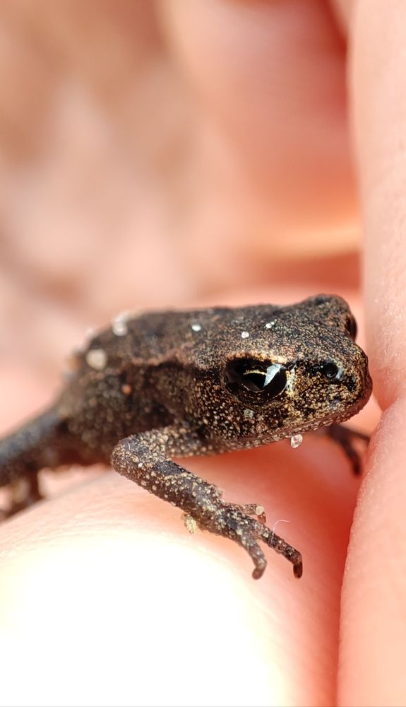 Photograph by Марина Артемьева