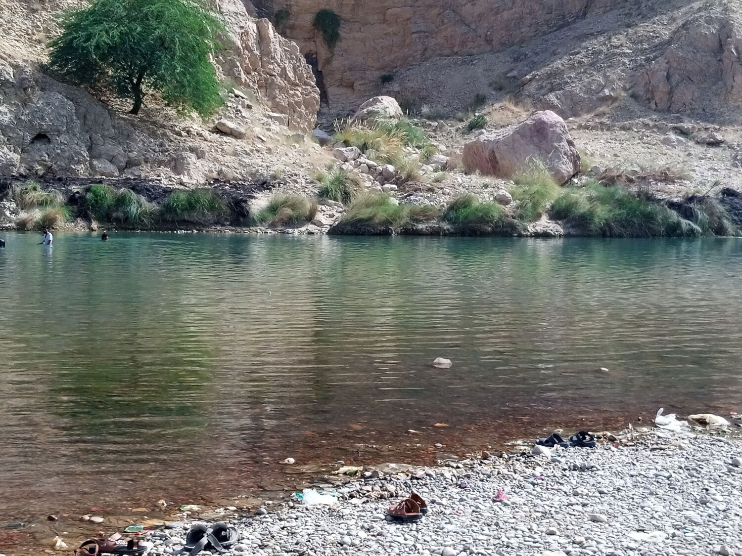 Photo #10245978