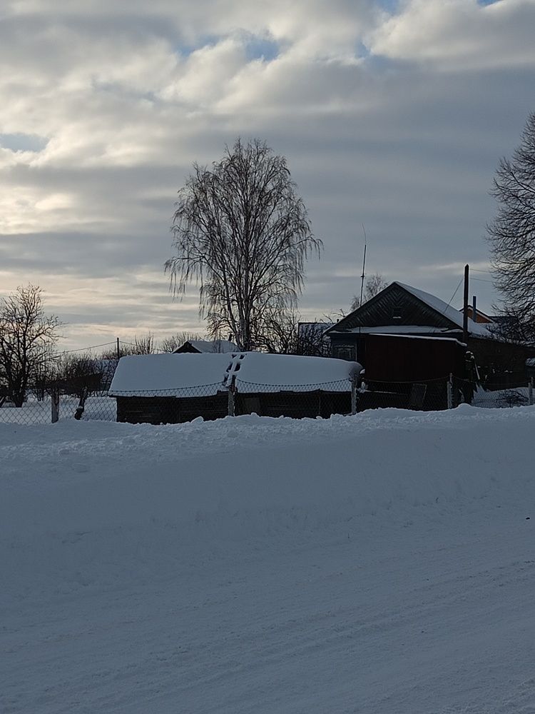 Photograph by Елена Константинова