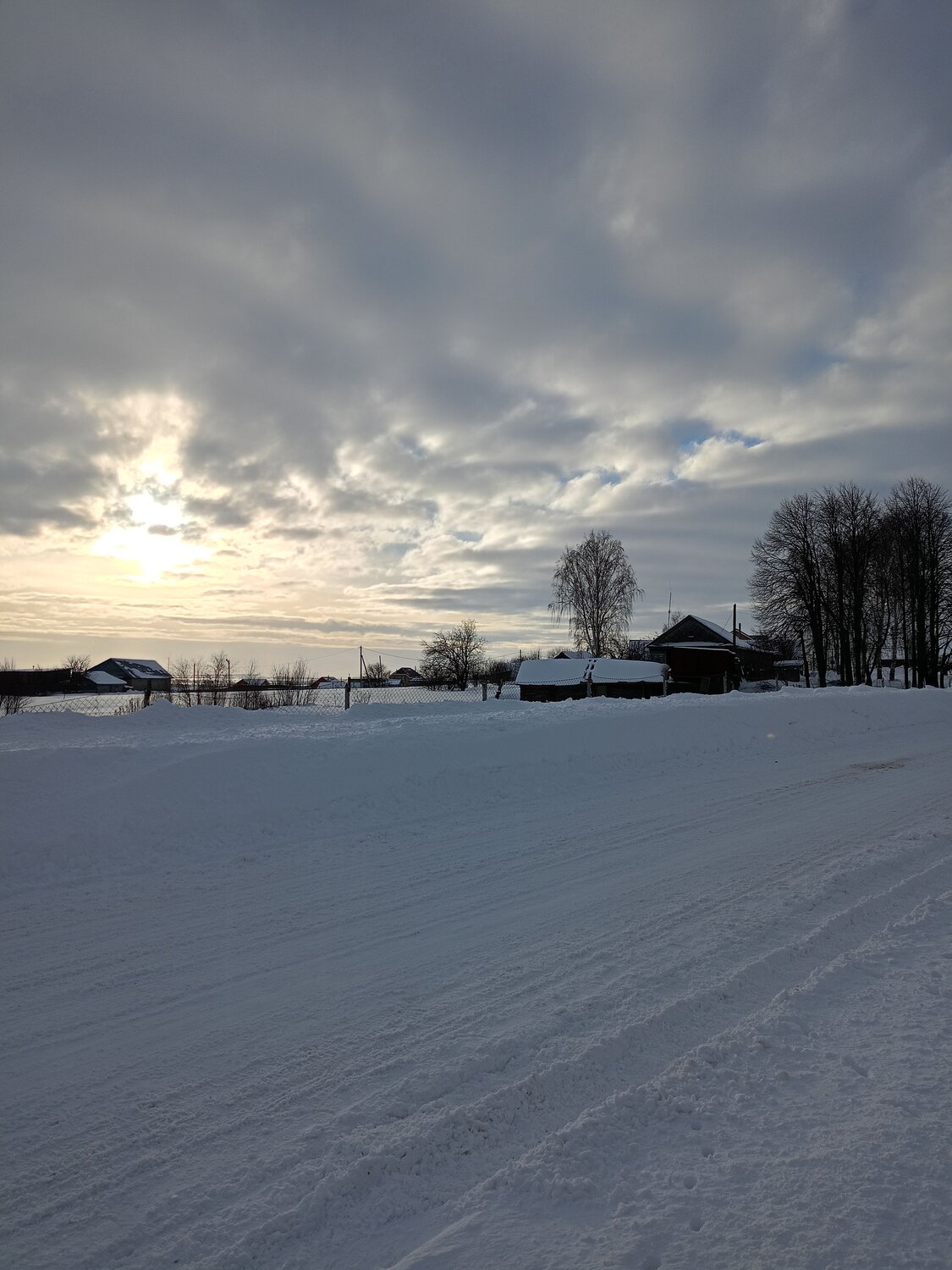 Photo #10245983