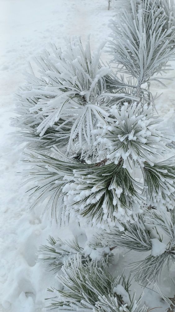 Фотография автора Ганина Галина