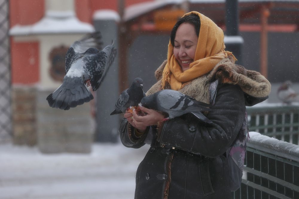 Photograph by Алексей Широбоков