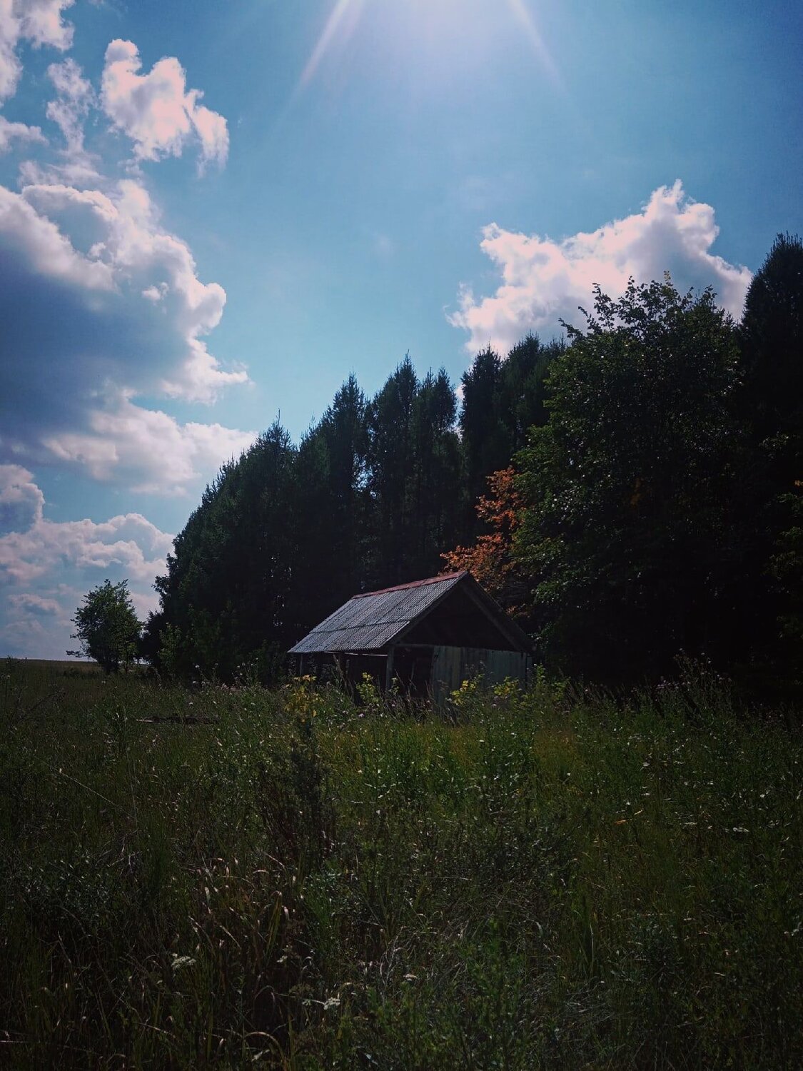 Photo #10246024