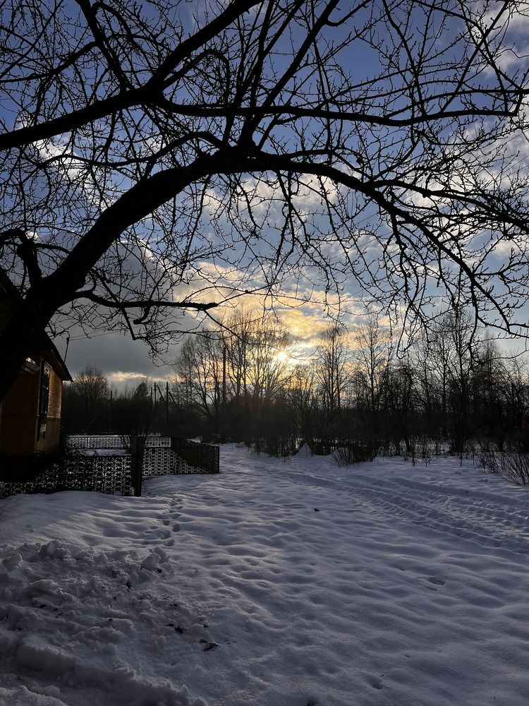 Photograph by Татьяна