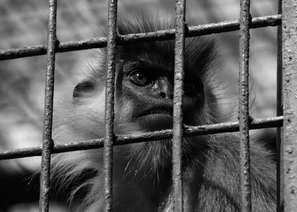 Photograph by Rumel Muhammed