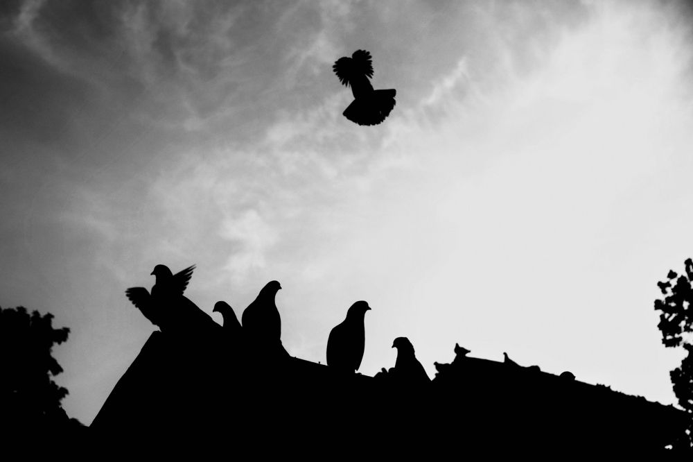 Photograph by Rumel Muhammed